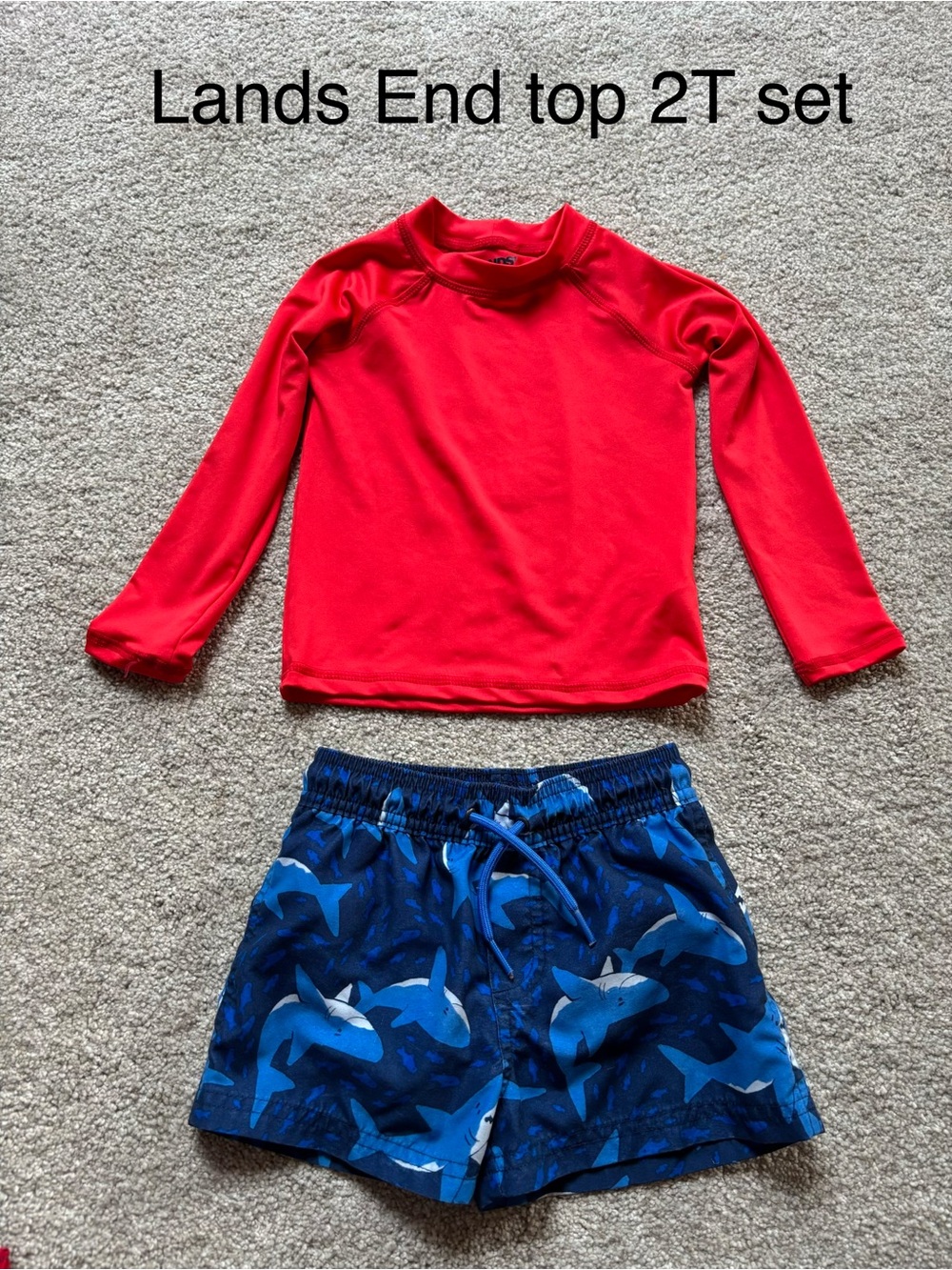 Toddler 2T Lands End rash top and swim shorts